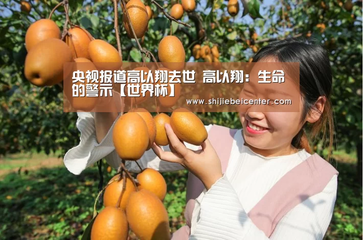 比赛集锦