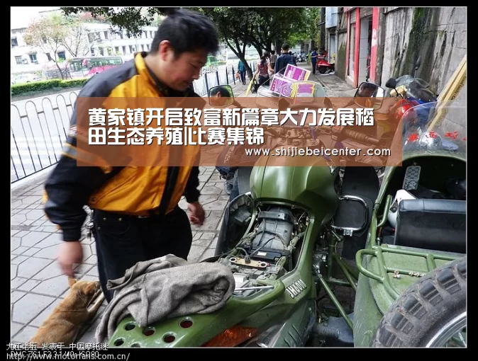 实时比分