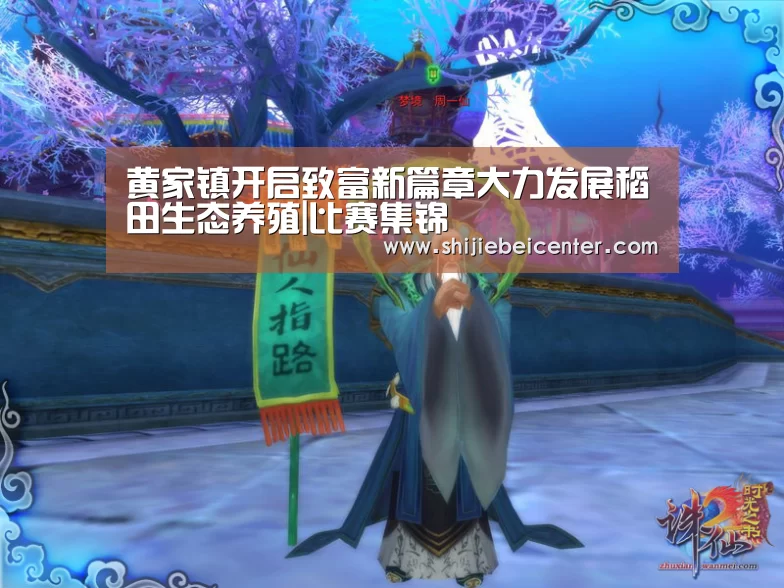 比赛集锦