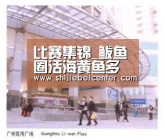 实时比分