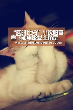 世界杯直播