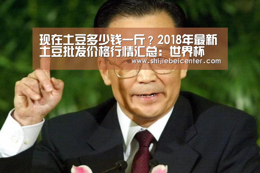 实时比分