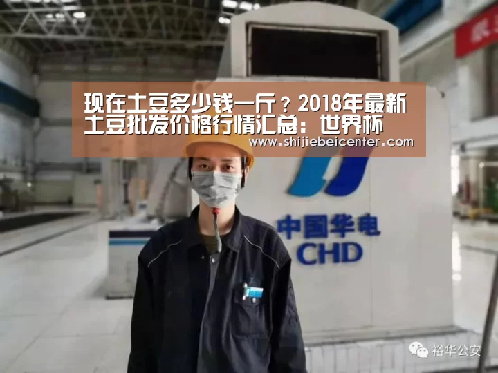 实时比分